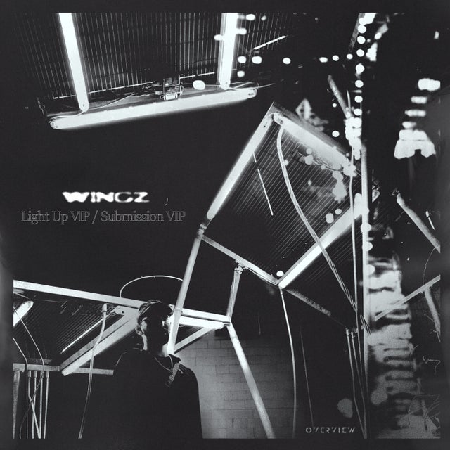 Light Up VIP album art
