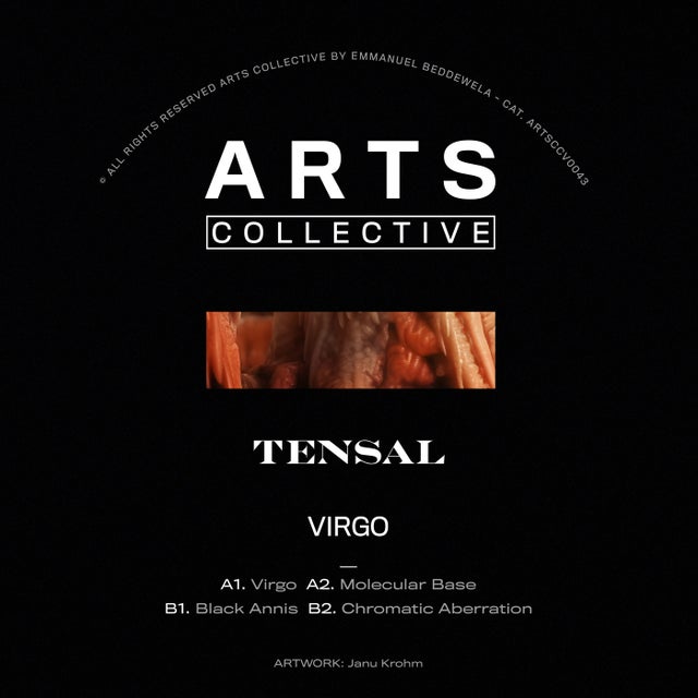 Virgo album art