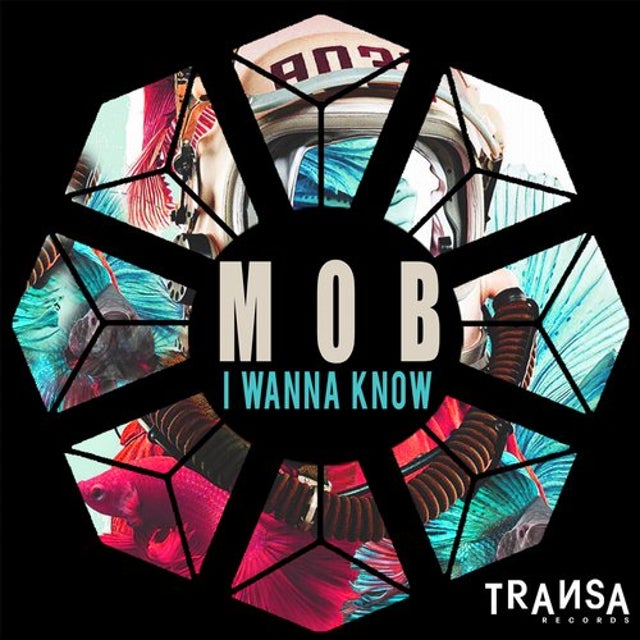 I Wanna Know album art