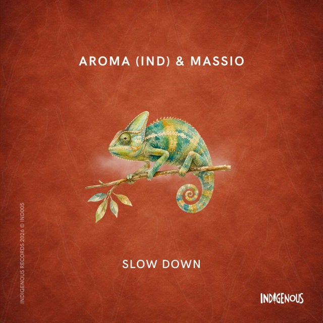Slow Down album art