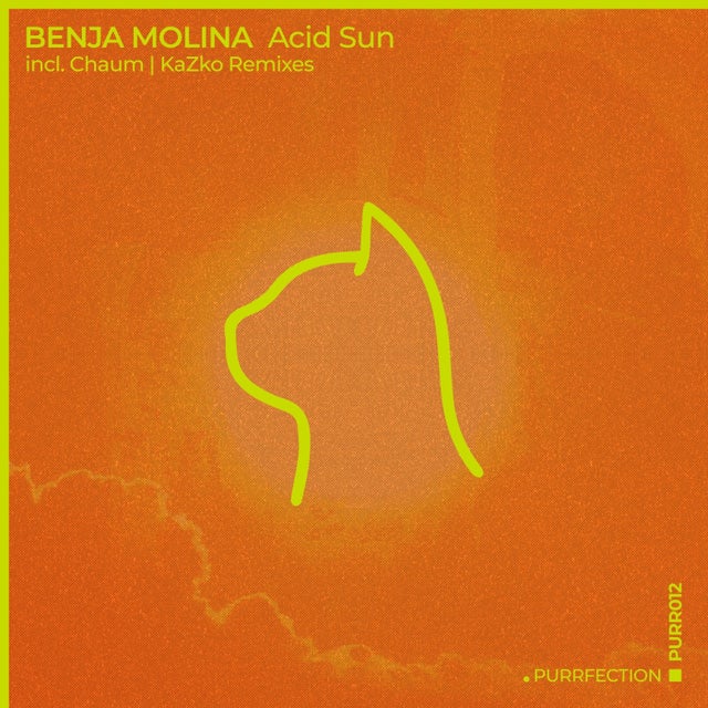 Acid Sun album art