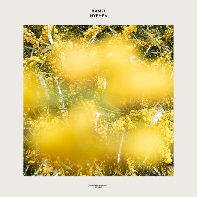 awakenin album art
