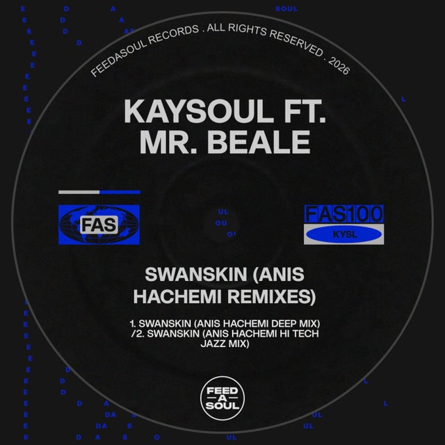 Swanskin - Anis Hachemi Hi Tech Jazz Remix album art