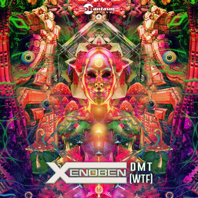 Dmt Wtf album art