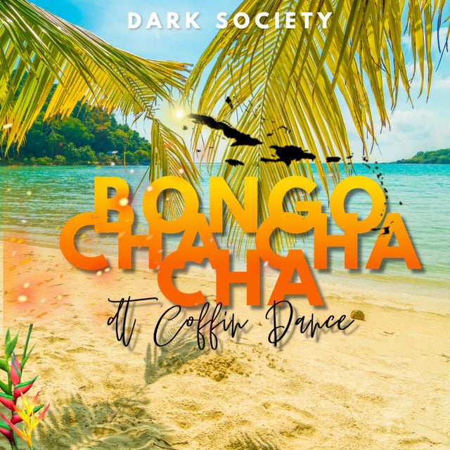 Bongo Cha Cha Cha (Bongo ChaChaCha) album art