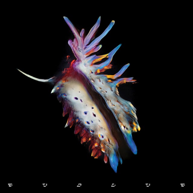 Waiting album art