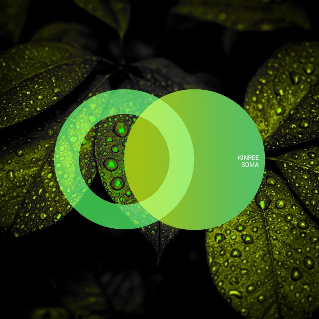Soma album art