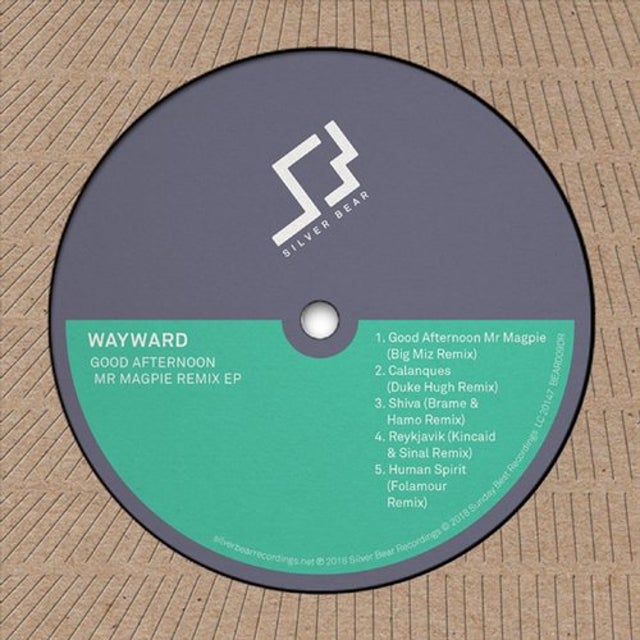Human Spirit - Folamour Remix album art