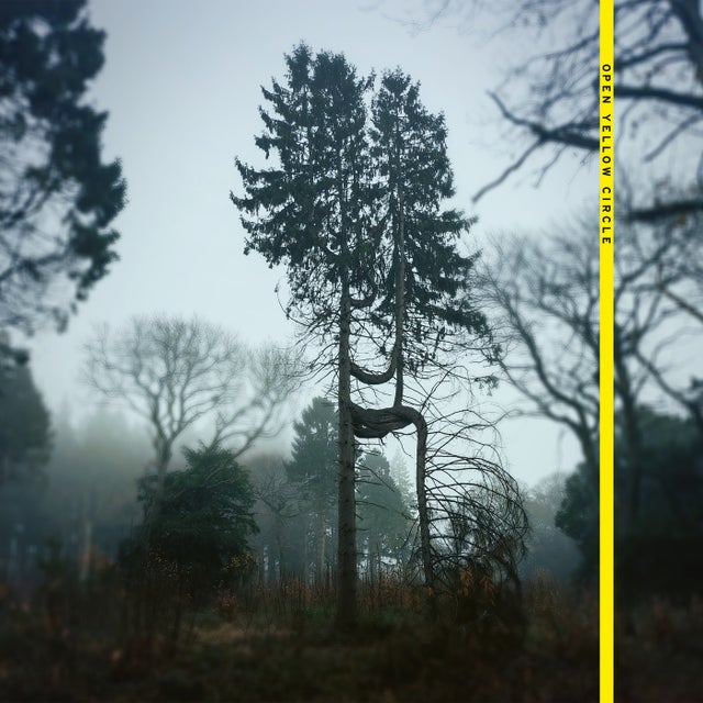 Dark Blue Trees album art