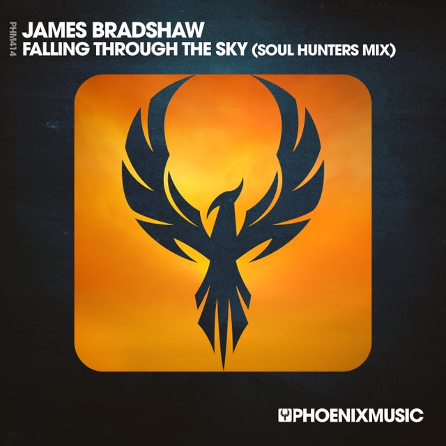 Falling Through The Sky - Soul Hunters Mix album art