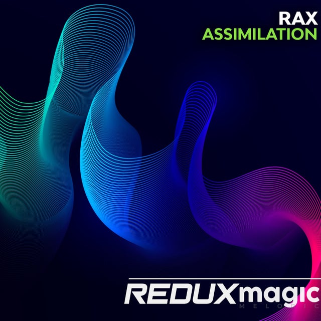 Assimilation - Extended Mix album art