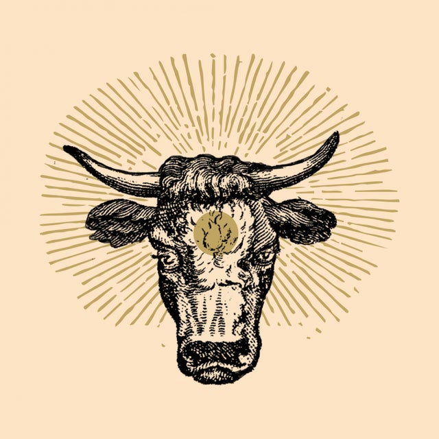 Ox album art