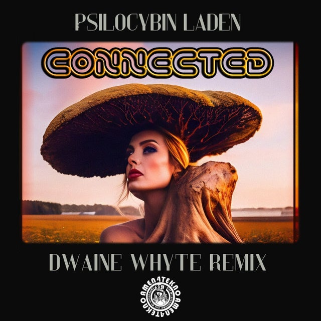 Connected - Dwaine Whyte Remix album art