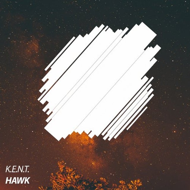 Hawk album art
