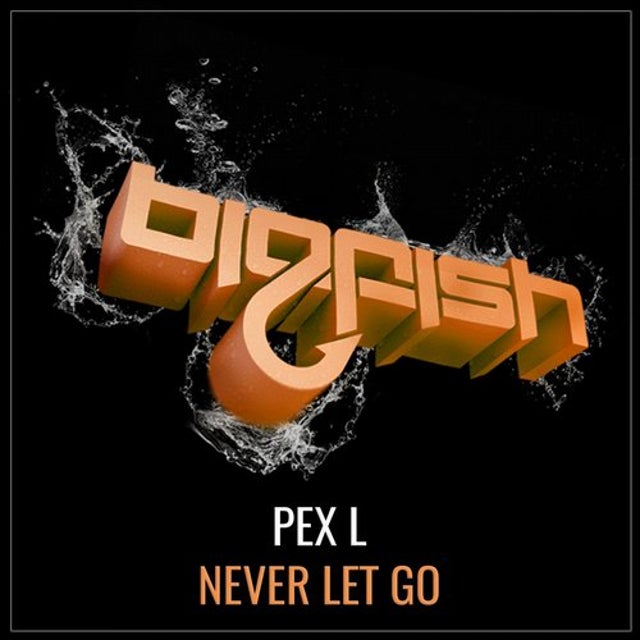 Never Let Go album art