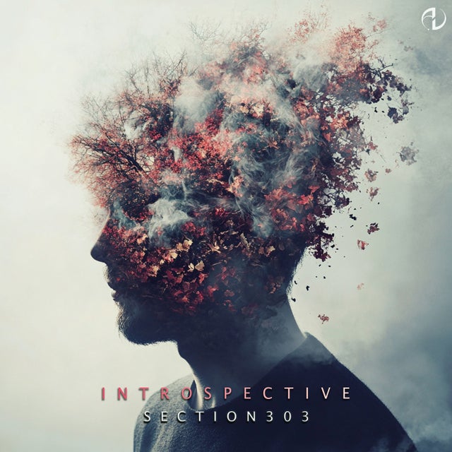 Introspective album art