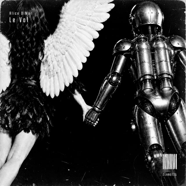 Le Vol - Extended Mix album art
