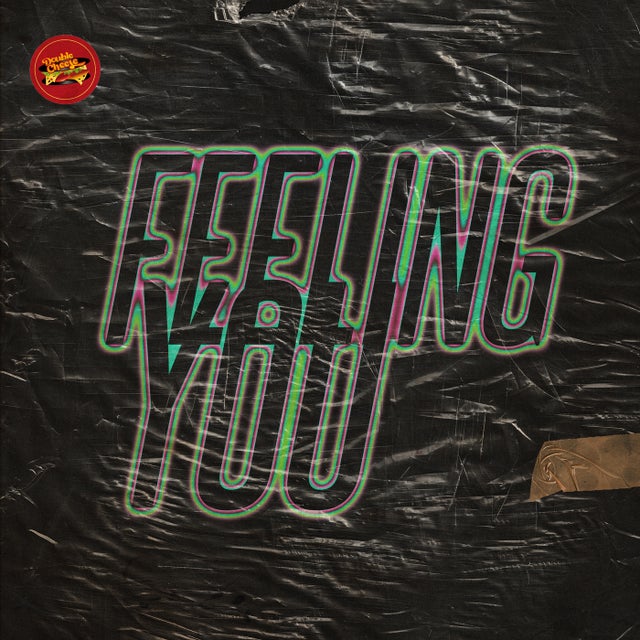 Feeling You feat. Lee Triffon album art