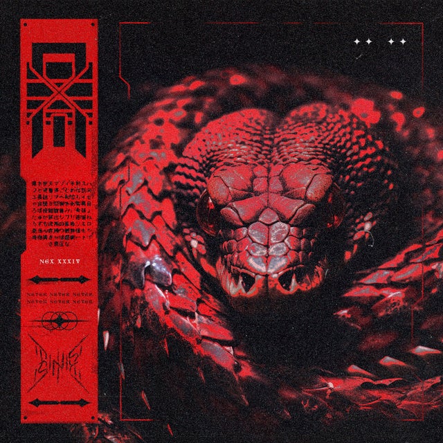 Never album art