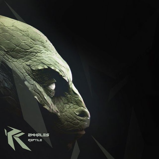 Reptile album art