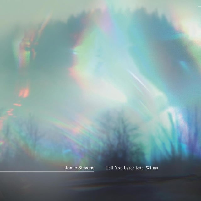 Tell You Later feat. Wilma (AU) - GMJ & Matter Remix album art