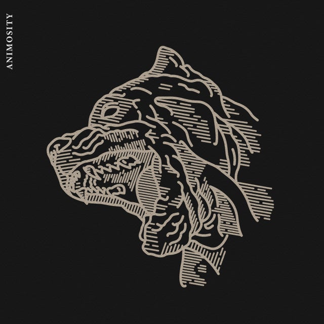 Animosity album art