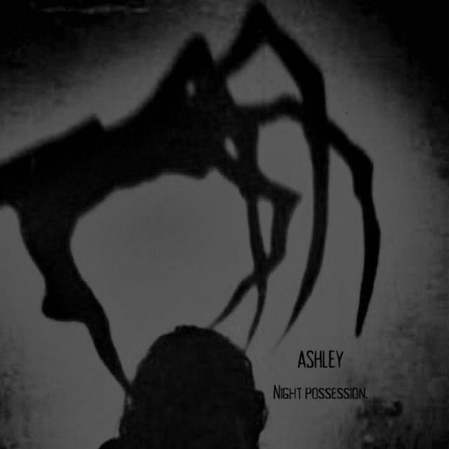 Night Possession. album art