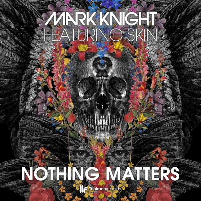 Nothing Matters feat. Skin - Noisia Remix album art