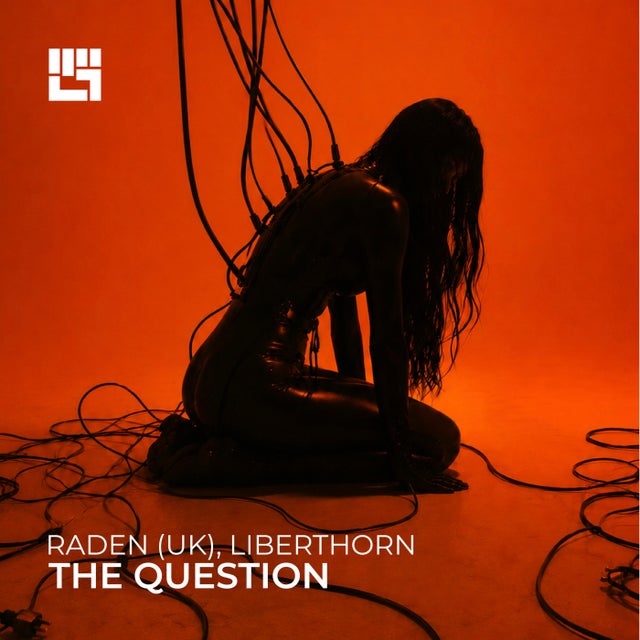 The Question album art