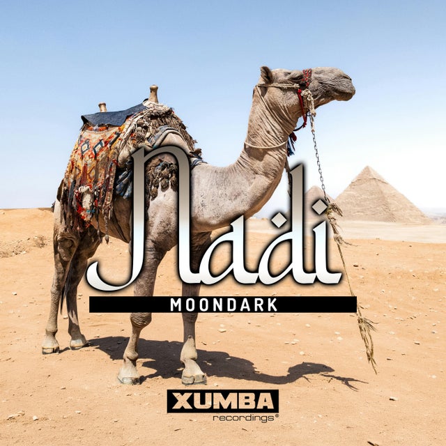 Nadi - Extended Mix album art
