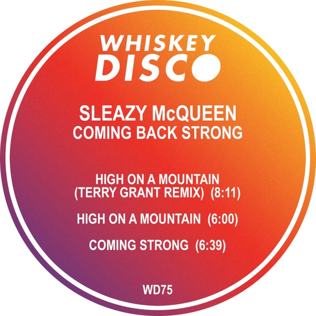 High on a Mountain - Terry Grant Remix album art