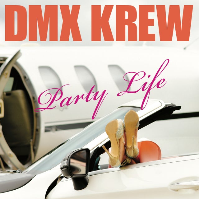 Party Life album art