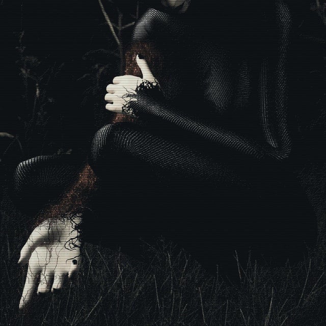 rot album art