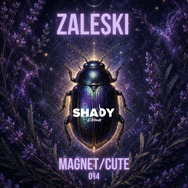 Magnet album art