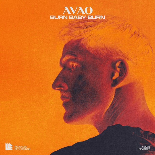 Burn Baby Burn - Extended Mix album art