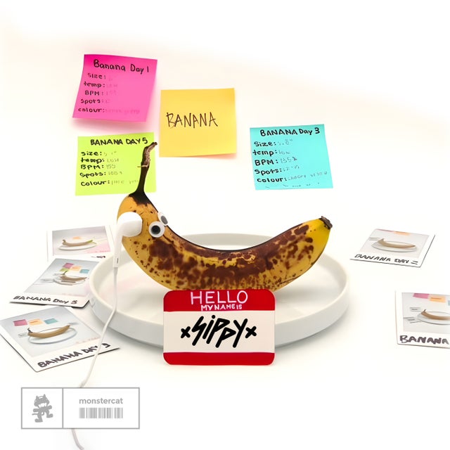 The Banana Song album art