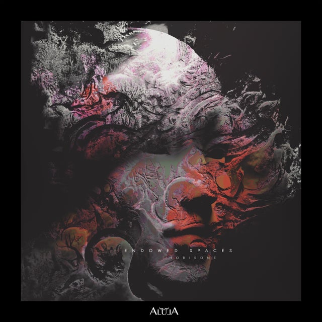 Endowed Spaces album art