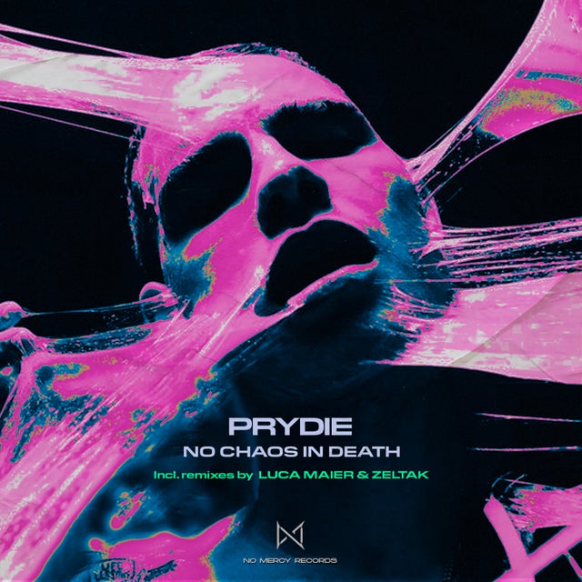No Chaos In Death album art
