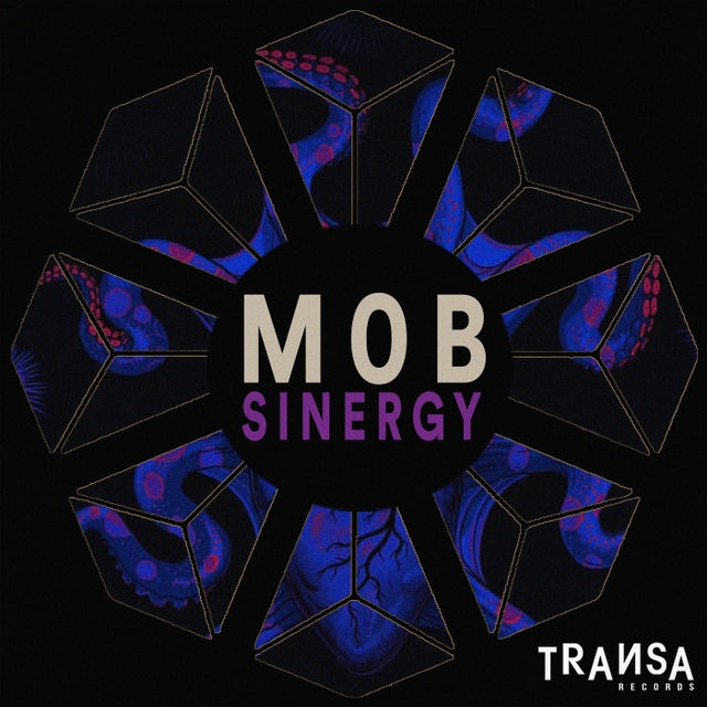 Sinergy album art