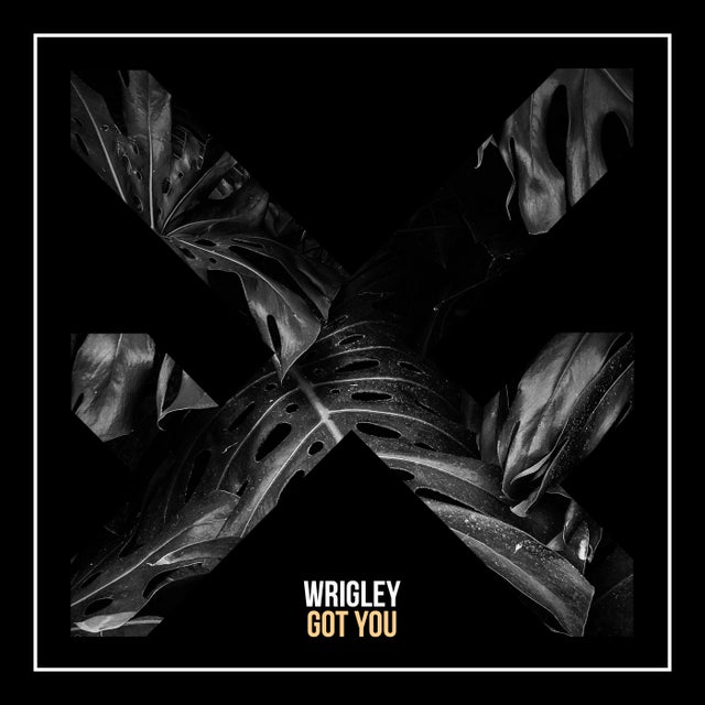 Got You album art