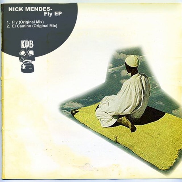 Fly album art