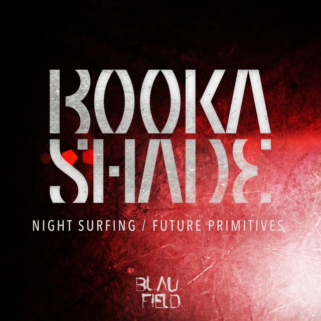 Night Surfing album art