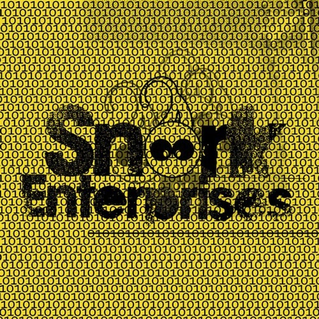 Romin album art