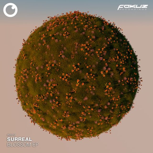 Blossom album art