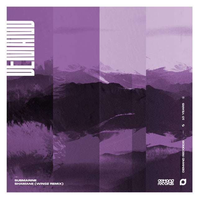 Shamane - Wingz Remix album art