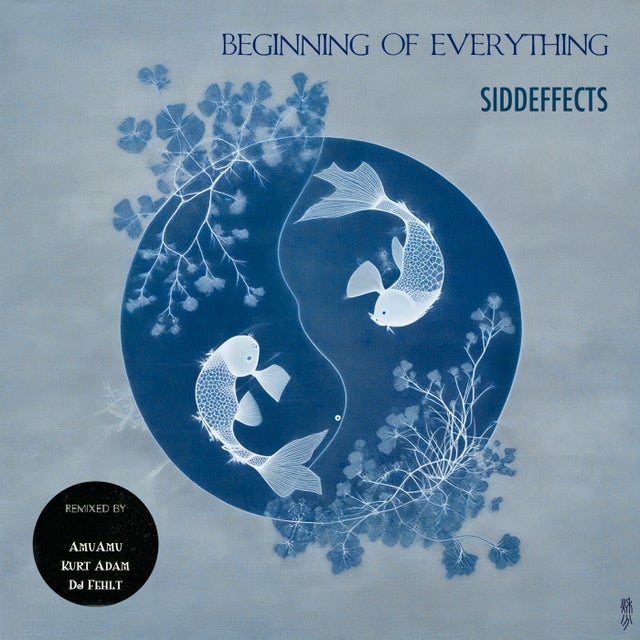 Beginning of Everything - AmuAmu Remix album art