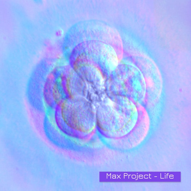 Life album art