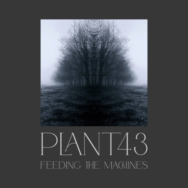 Information Decay album art