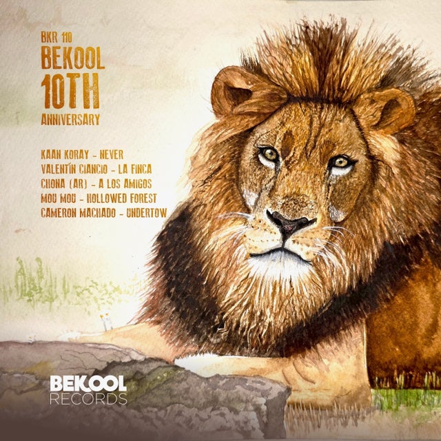 Never album art