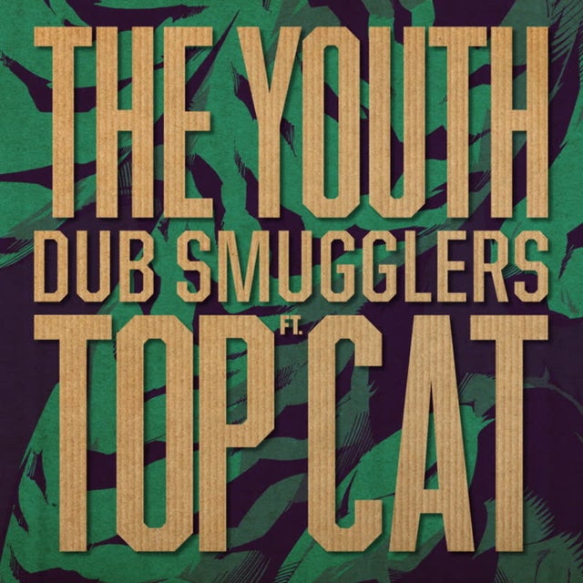 The Youth - Simma Remix album art